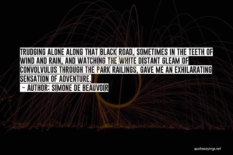 Simone De Beauvoir Quotes: Trudging Alone Along That Black Road, Sometimes In The Teeth Of Wind And Rain, And Watching The White Distant Gleam