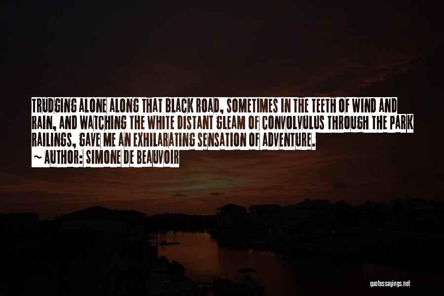 Simone De Beauvoir Quotes: Trudging Alone Along That Black Road, Sometimes In The Teeth Of Wind And Rain, And Watching The White Distant Gleam