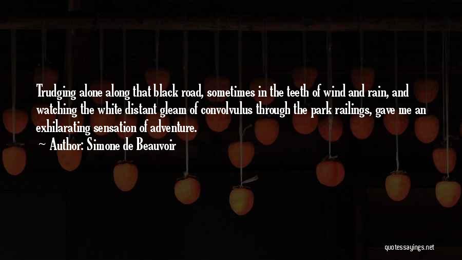 Simone De Beauvoir Quotes: Trudging Alone Along That Black Road, Sometimes In The Teeth Of Wind And Rain, And Watching The White Distant Gleam