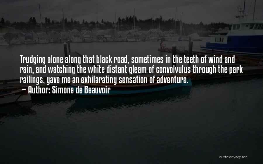 Simone De Beauvoir Quotes: Trudging Alone Along That Black Road, Sometimes In The Teeth Of Wind And Rain, And Watching The White Distant Gleam