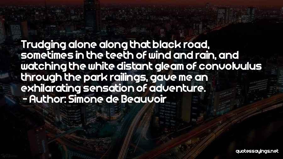 Simone De Beauvoir Quotes: Trudging Alone Along That Black Road, Sometimes In The Teeth Of Wind And Rain, And Watching The White Distant Gleam