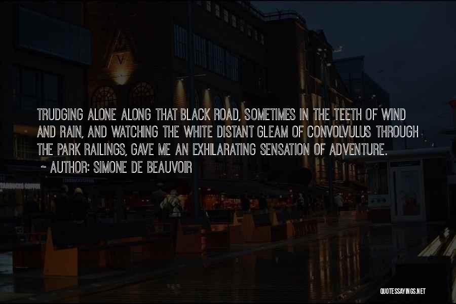 Simone De Beauvoir Quotes: Trudging Alone Along That Black Road, Sometimes In The Teeth Of Wind And Rain, And Watching The White Distant Gleam