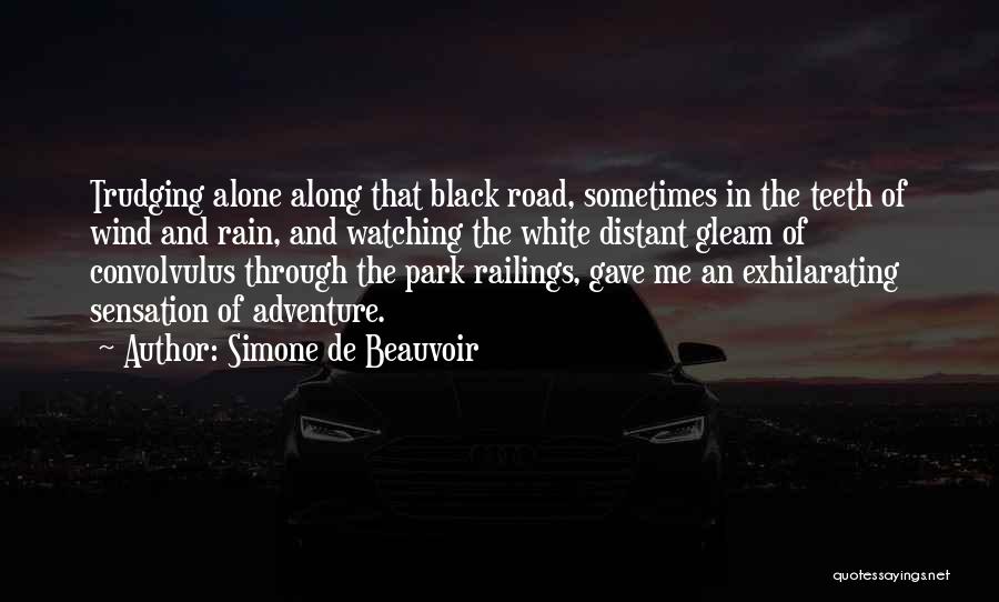 Simone De Beauvoir Quotes: Trudging Alone Along That Black Road, Sometimes In The Teeth Of Wind And Rain, And Watching The White Distant Gleam