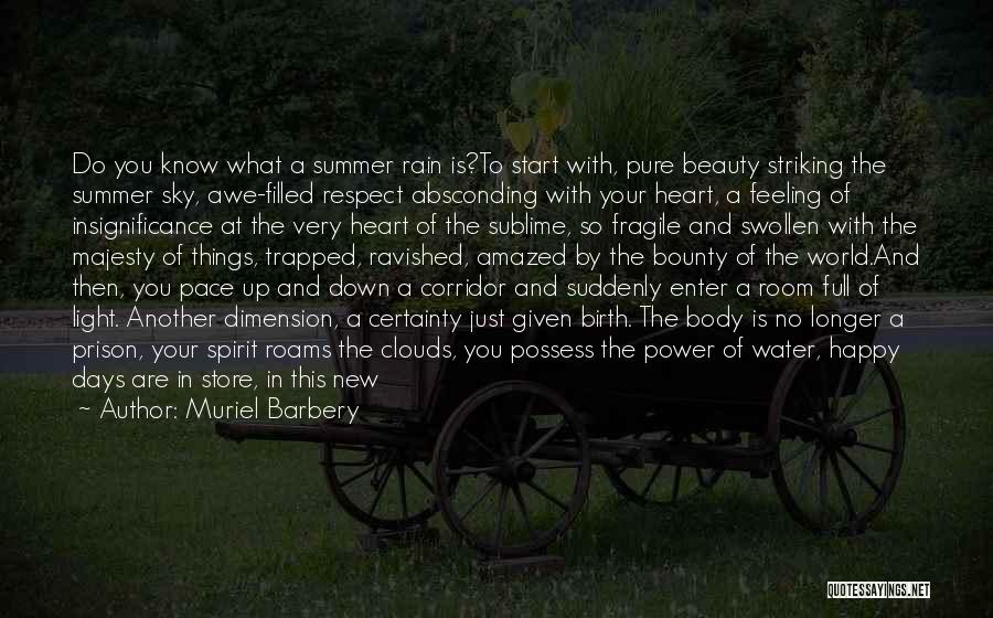 Muriel Barbery Quotes: Do You Know What A Summer Rain Is?to Start With, Pure Beauty Striking The Summer Sky, Awe-filled Respect Absconding With