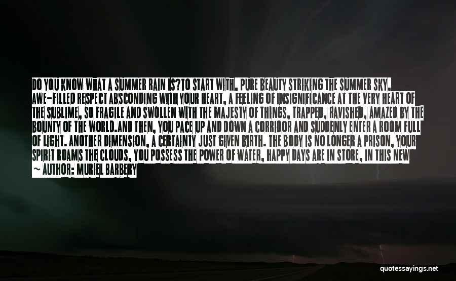 Muriel Barbery Quotes: Do You Know What A Summer Rain Is?to Start With, Pure Beauty Striking The Summer Sky, Awe-filled Respect Absconding With