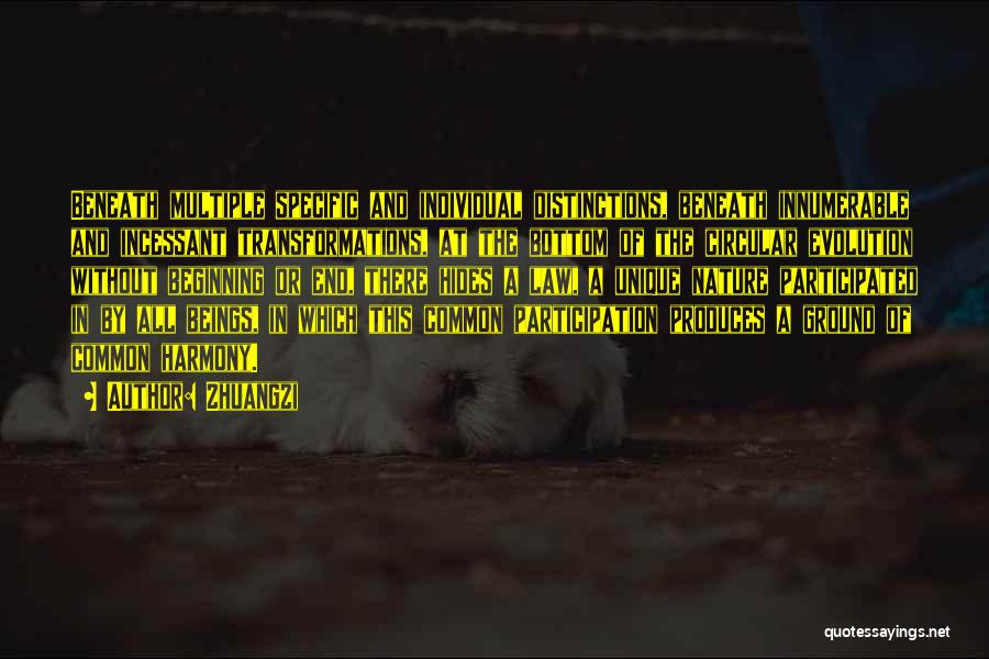 Zhuangzi Quotes: Beneath Multiple Specific And Individual Distinctions, Beneath Innumerable And Incessant Transformations, At The Bottom Of The Circular Evolution Without Beginning