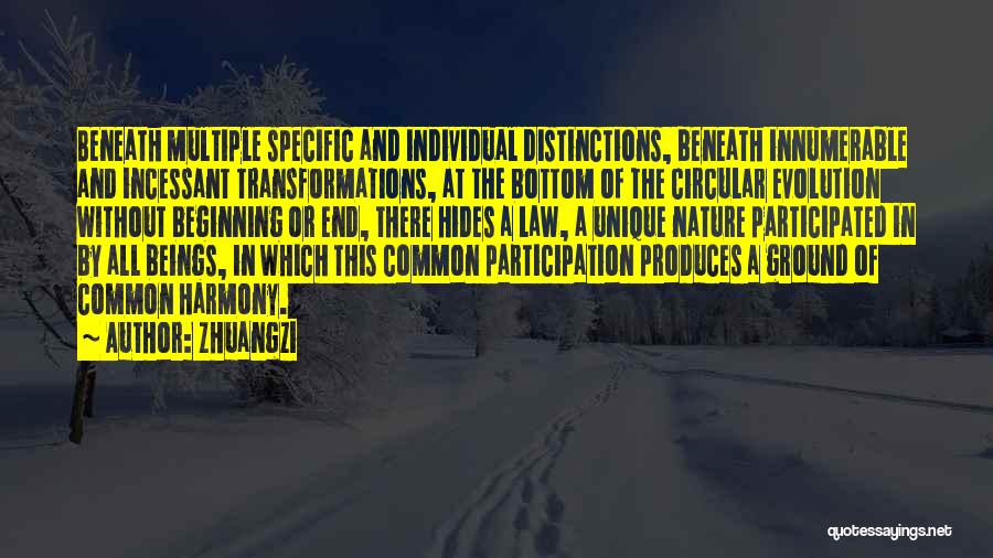 Zhuangzi Quotes: Beneath Multiple Specific And Individual Distinctions, Beneath Innumerable And Incessant Transformations, At The Bottom Of The Circular Evolution Without Beginning