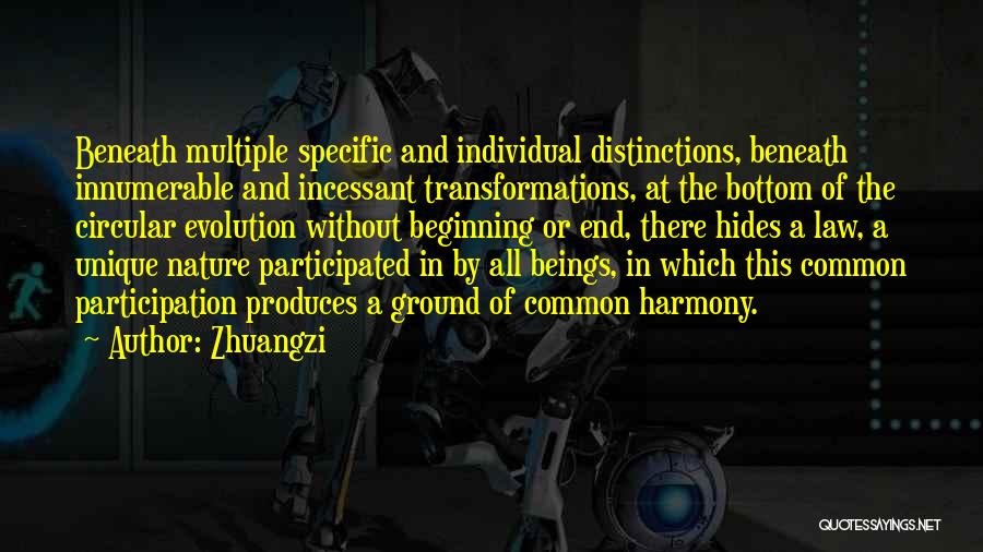 Zhuangzi Quotes: Beneath Multiple Specific And Individual Distinctions, Beneath Innumerable And Incessant Transformations, At The Bottom Of The Circular Evolution Without Beginning