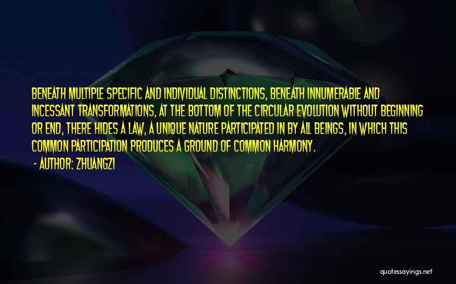 Zhuangzi Quotes: Beneath Multiple Specific And Individual Distinctions, Beneath Innumerable And Incessant Transformations, At The Bottom Of The Circular Evolution Without Beginning