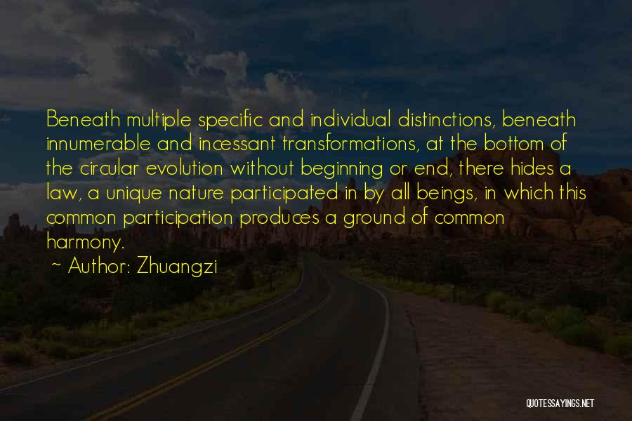 Zhuangzi Quotes: Beneath Multiple Specific And Individual Distinctions, Beneath Innumerable And Incessant Transformations, At The Bottom Of The Circular Evolution Without Beginning