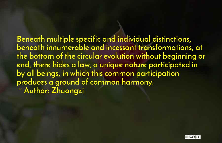 Zhuangzi Quotes: Beneath Multiple Specific And Individual Distinctions, Beneath Innumerable And Incessant Transformations, At The Bottom Of The Circular Evolution Without Beginning