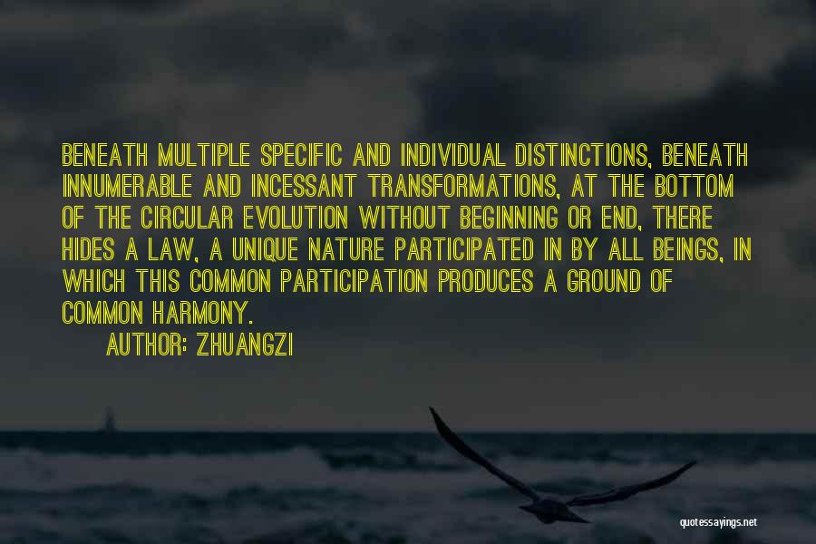 Zhuangzi Quotes: Beneath Multiple Specific And Individual Distinctions, Beneath Innumerable And Incessant Transformations, At The Bottom Of The Circular Evolution Without Beginning