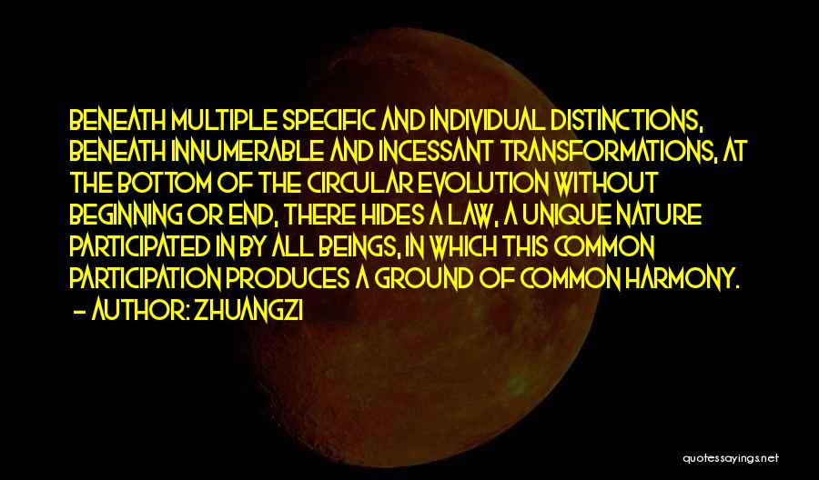 Zhuangzi Quotes: Beneath Multiple Specific And Individual Distinctions, Beneath Innumerable And Incessant Transformations, At The Bottom Of The Circular Evolution Without Beginning
