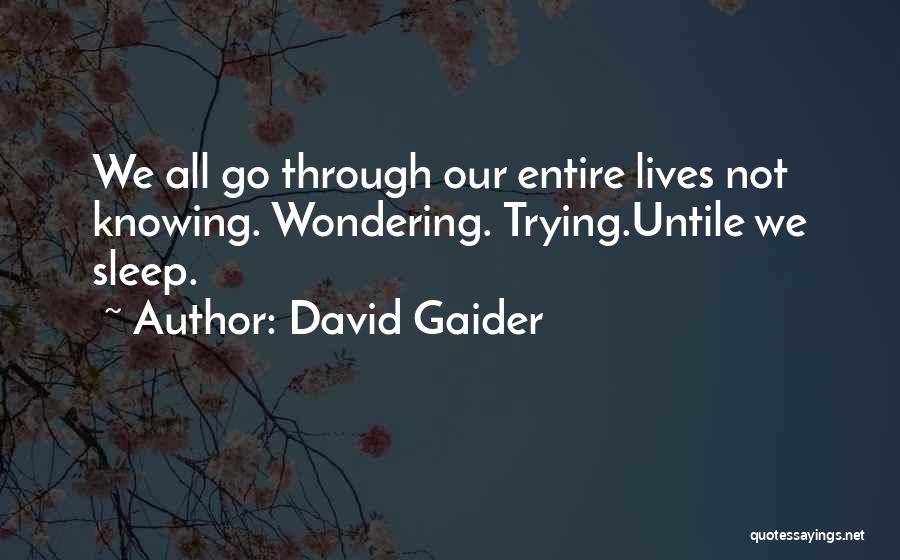 David Gaider Quotes: We All Go Through Our Entire Lives Not Knowing. Wondering. Trying.untile We Sleep.