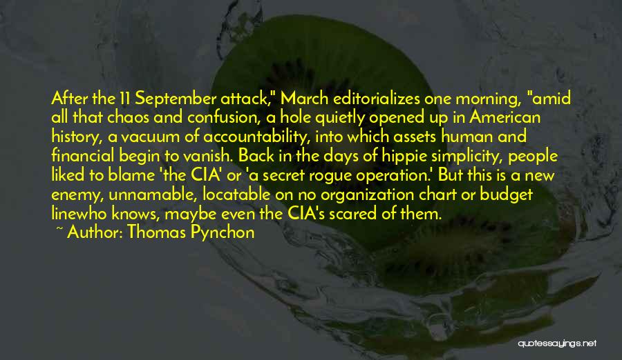 Thomas Pynchon Quotes: After The 11 September Attack, March Editorializes One Morning, Amid All That Chaos And Confusion, A Hole Quietly Opened Up