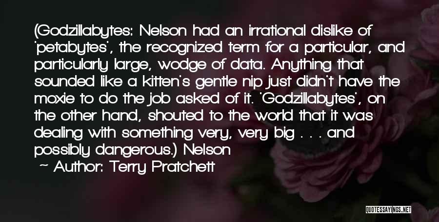 Terry Pratchett Quotes: (godzillabytes: Nelson Had An Irrational Dislike Of 'petabytes', The Recognized Term For A Particular, And Particularly Large, Wodge Of Data.