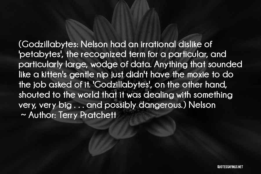 Terry Pratchett Quotes: (godzillabytes: Nelson Had An Irrational Dislike Of 'petabytes', The Recognized Term For A Particular, And Particularly Large, Wodge Of Data.