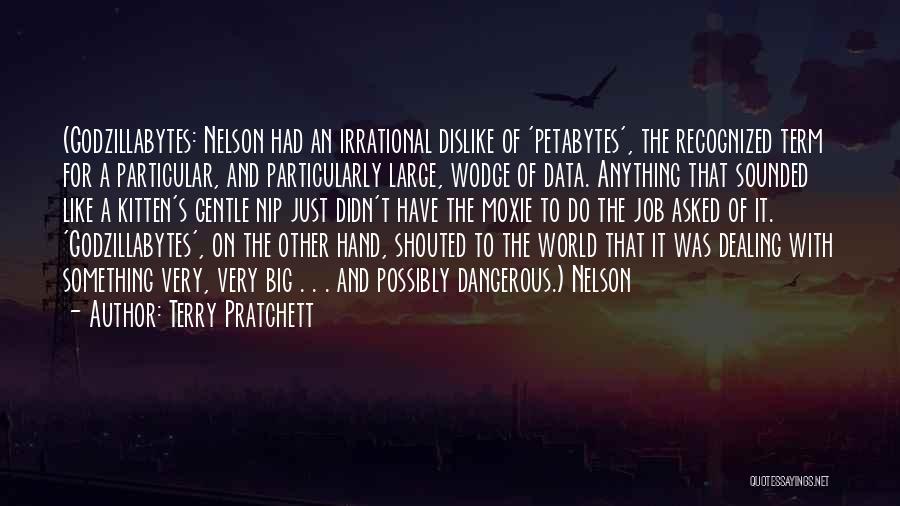 Terry Pratchett Quotes: (godzillabytes: Nelson Had An Irrational Dislike Of 'petabytes', The Recognized Term For A Particular, And Particularly Large, Wodge Of Data.