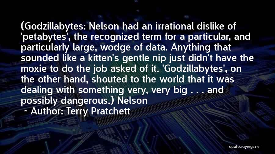 Terry Pratchett Quotes: (godzillabytes: Nelson Had An Irrational Dislike Of 'petabytes', The Recognized Term For A Particular, And Particularly Large, Wodge Of Data.