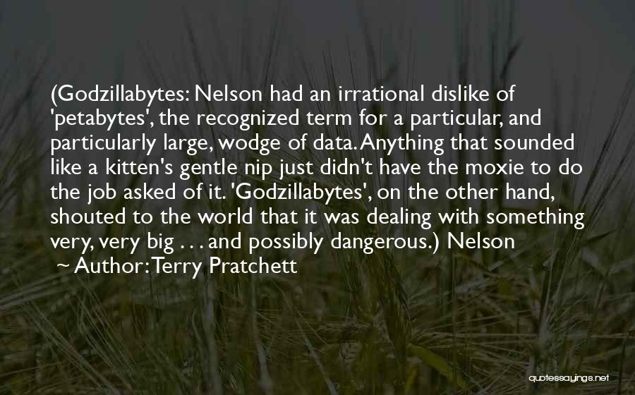 Terry Pratchett Quotes: (godzillabytes: Nelson Had An Irrational Dislike Of 'petabytes', The Recognized Term For A Particular, And Particularly Large, Wodge Of Data.