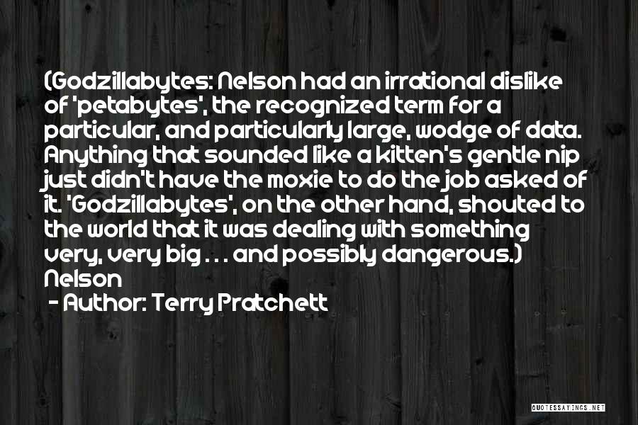 Terry Pratchett Quotes: (godzillabytes: Nelson Had An Irrational Dislike Of 'petabytes', The Recognized Term For A Particular, And Particularly Large, Wodge Of Data.