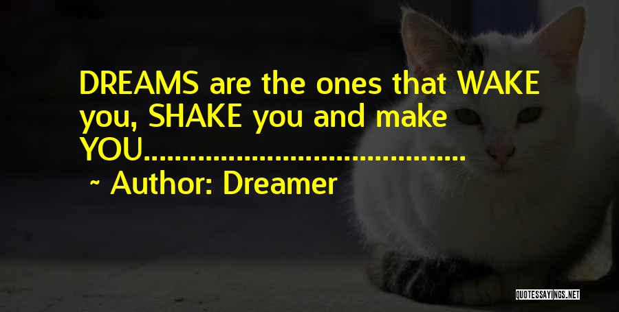 Dreamer Quotes: Dreams Are The Ones That Wake You, Shake You And Make You..........................................