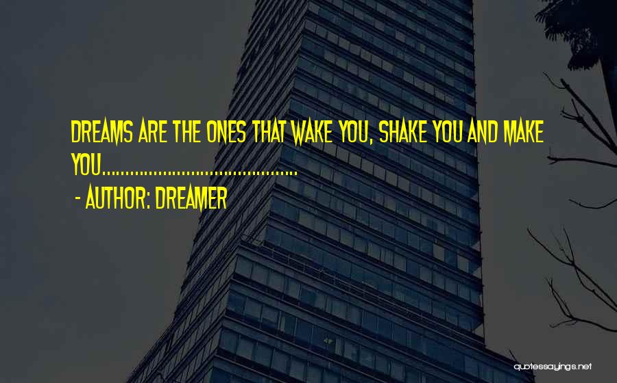 Dreamer Quotes: Dreams Are The Ones That Wake You, Shake You And Make You..........................................