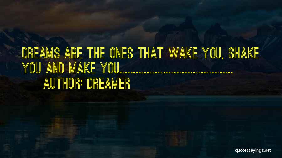 Dreamer Quotes: Dreams Are The Ones That Wake You, Shake You And Make You..........................................