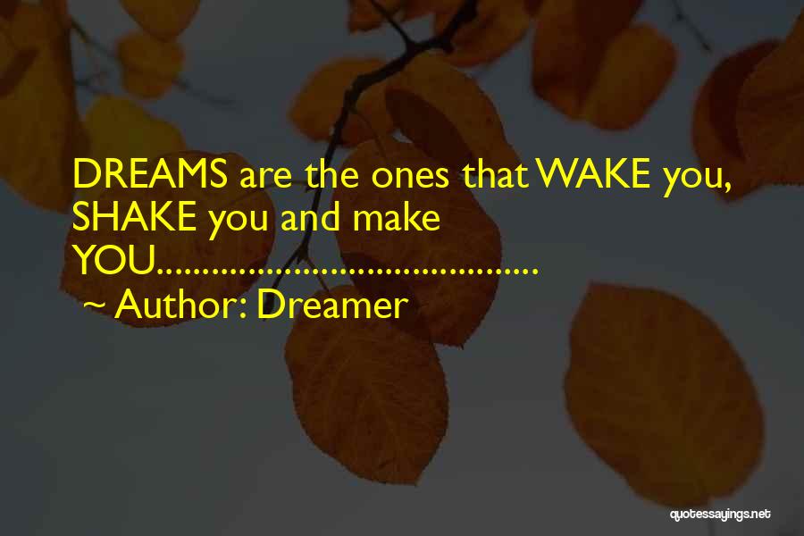 Dreamer Quotes: Dreams Are The Ones That Wake You, Shake You And Make You..........................................