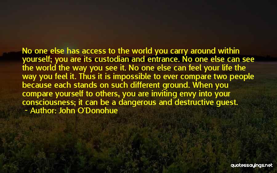 John O'Donohue Quotes: No One Else Has Access To The World You Carry Around Within Yourself; You Are Its Custodian And Entrance. No