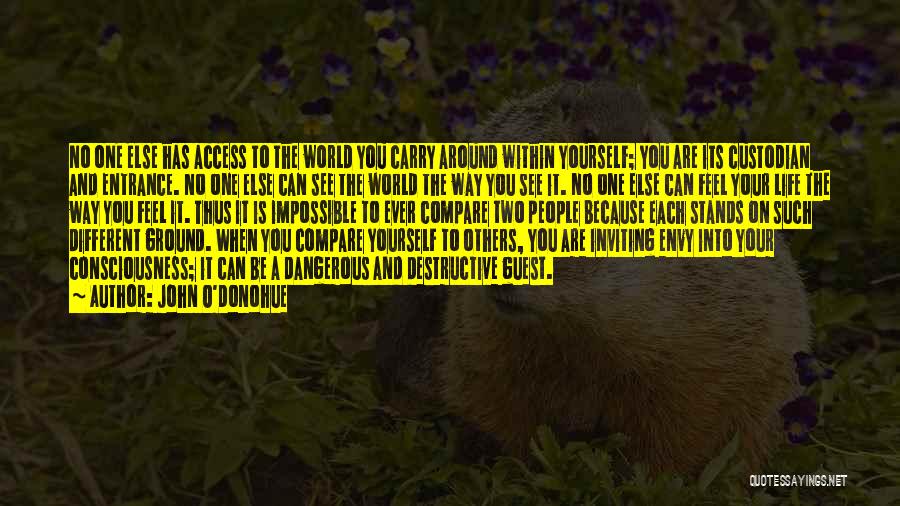 John O'Donohue Quotes: No One Else Has Access To The World You Carry Around Within Yourself; You Are Its Custodian And Entrance. No