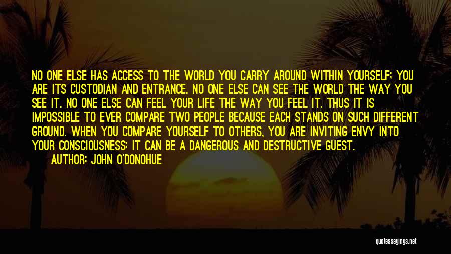 John O'Donohue Quotes: No One Else Has Access To The World You Carry Around Within Yourself; You Are Its Custodian And Entrance. No