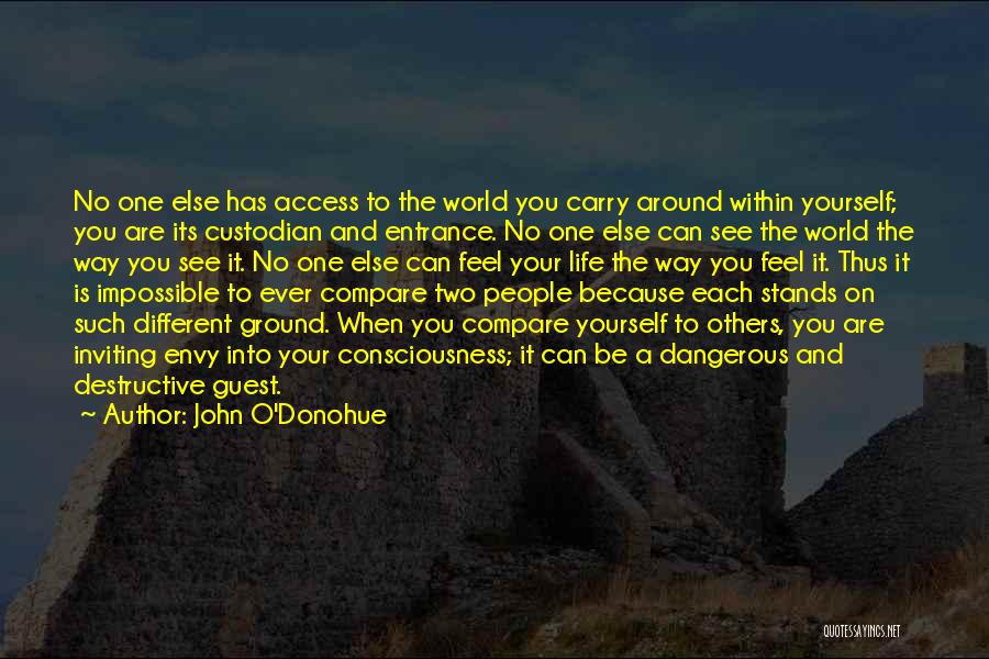 John O'Donohue Quotes: No One Else Has Access To The World You Carry Around Within Yourself; You Are Its Custodian And Entrance. No