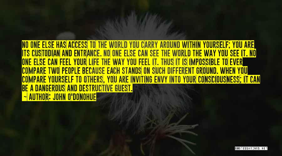 John O'Donohue Quotes: No One Else Has Access To The World You Carry Around Within Yourself; You Are Its Custodian And Entrance. No