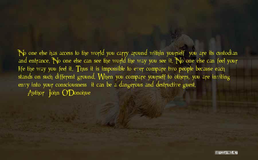 John O'Donohue Quotes: No One Else Has Access To The World You Carry Around Within Yourself; You Are Its Custodian And Entrance. No