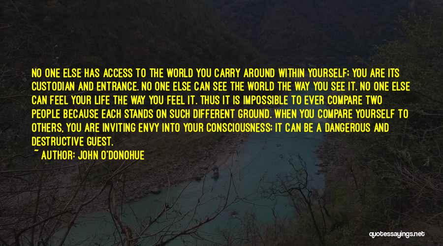 John O'Donohue Quotes: No One Else Has Access To The World You Carry Around Within Yourself; You Are Its Custodian And Entrance. No