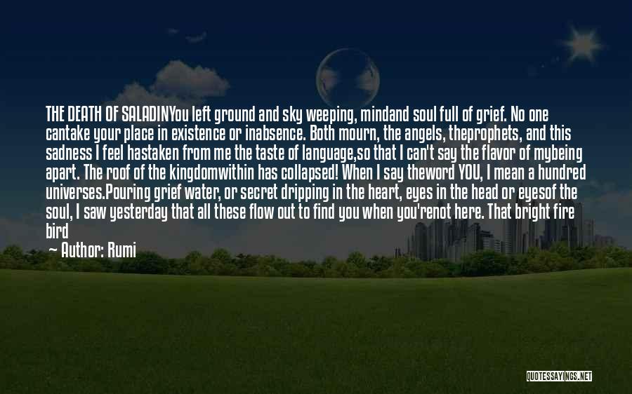 Rumi Quotes: The Death Of Saladinyou Left Ground And Sky Weeping, Mindand Soul Full Of Grief. No One Cantake Your Place In