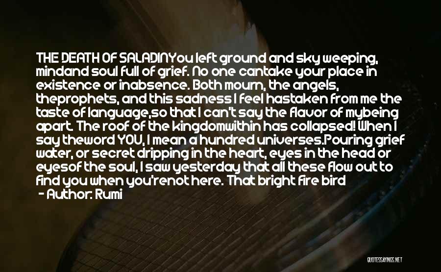 Rumi Quotes: The Death Of Saladinyou Left Ground And Sky Weeping, Mindand Soul Full Of Grief. No One Cantake Your Place In