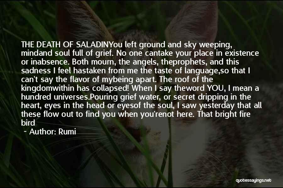 Rumi Quotes: The Death Of Saladinyou Left Ground And Sky Weeping, Mindand Soul Full Of Grief. No One Cantake Your Place In