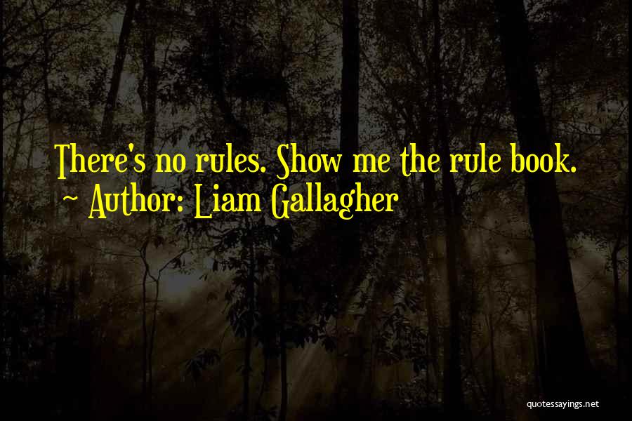 Liam Gallagher Quotes: There's No Rules. Show Me The Rule Book.