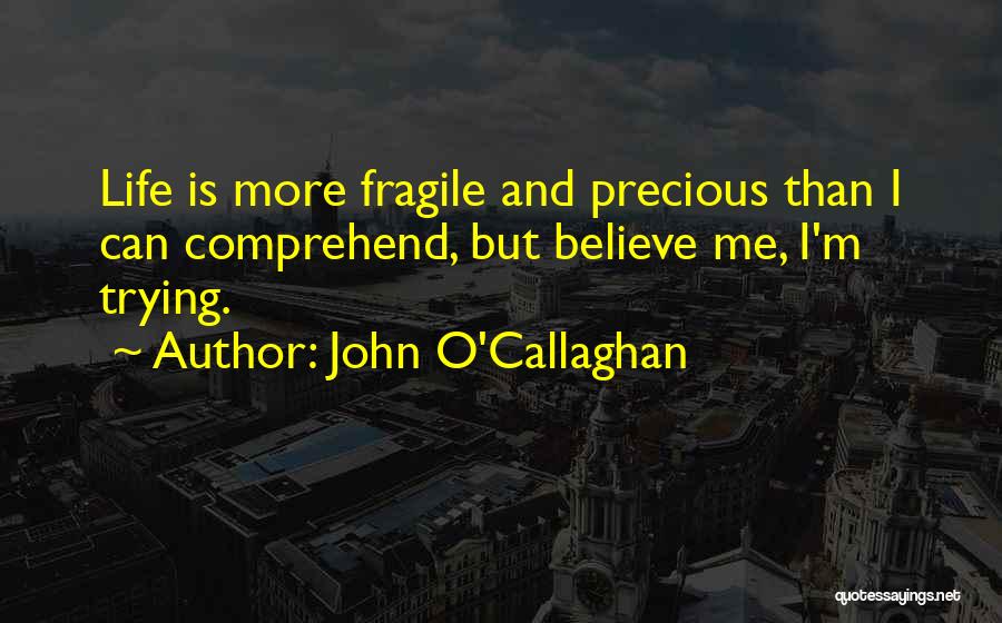 John O'Callaghan Quotes: Life Is More Fragile And Precious Than I Can Comprehend, But Believe Me, I'm Trying.