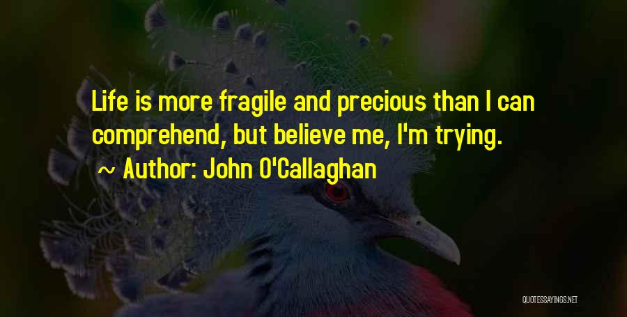 John O'Callaghan Quotes: Life Is More Fragile And Precious Than I Can Comprehend, But Believe Me, I'm Trying.