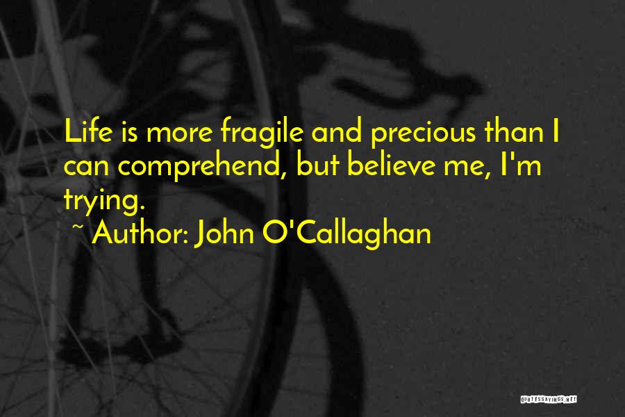 John O'Callaghan Quotes: Life Is More Fragile And Precious Than I Can Comprehend, But Believe Me, I'm Trying.