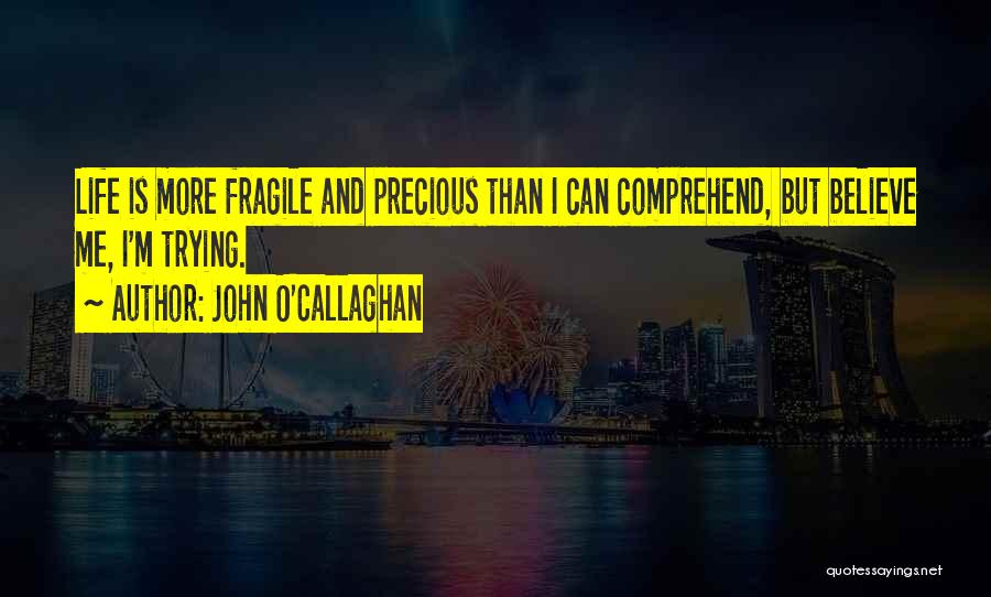 John O'Callaghan Quotes: Life Is More Fragile And Precious Than I Can Comprehend, But Believe Me, I'm Trying.