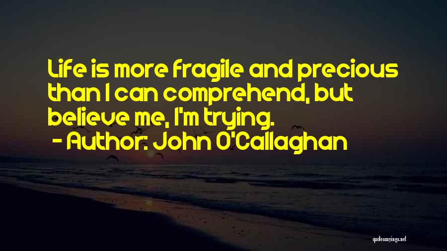 John O'Callaghan Quotes: Life Is More Fragile And Precious Than I Can Comprehend, But Believe Me, I'm Trying.