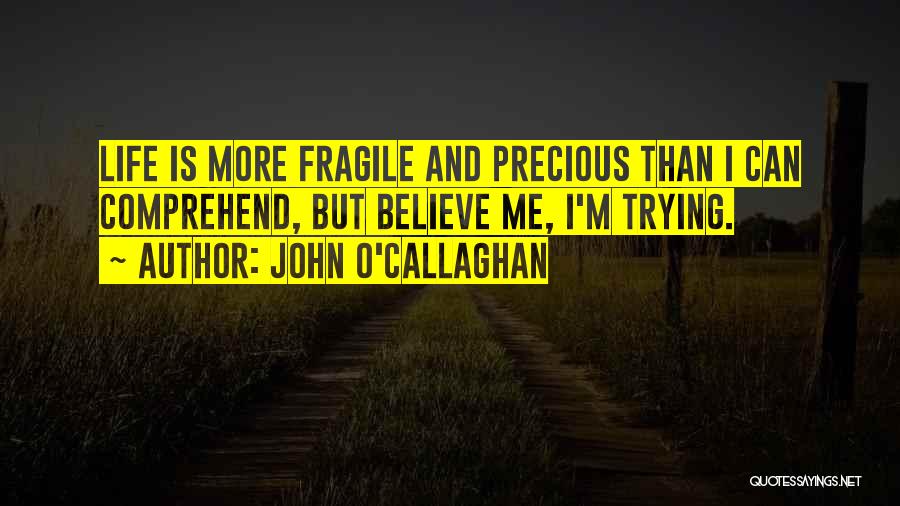 John O'Callaghan Quotes: Life Is More Fragile And Precious Than I Can Comprehend, But Believe Me, I'm Trying.