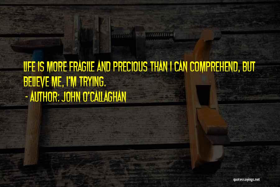 John O'Callaghan Quotes: Life Is More Fragile And Precious Than I Can Comprehend, But Believe Me, I'm Trying.