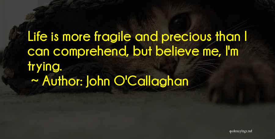 John O'Callaghan Quotes: Life Is More Fragile And Precious Than I Can Comprehend, But Believe Me, I'm Trying.