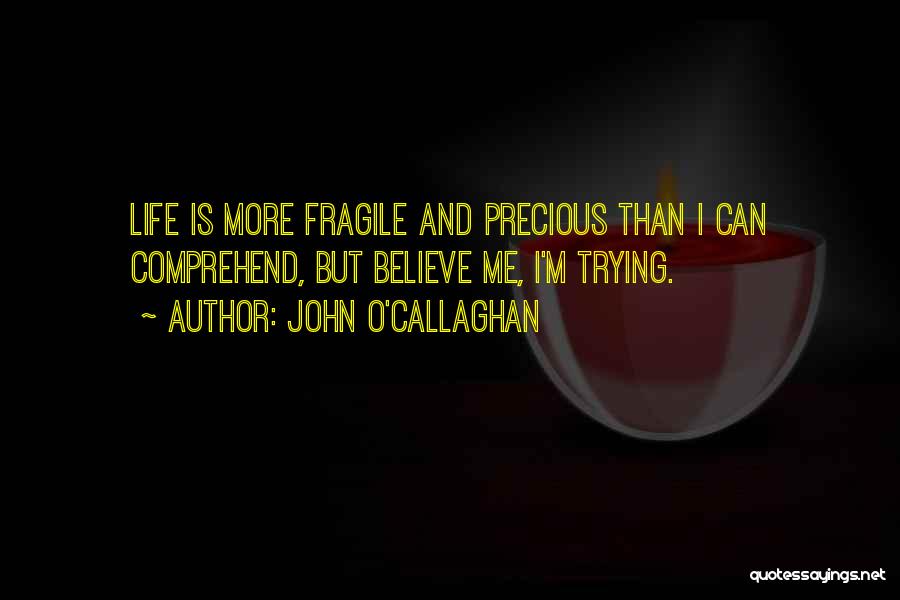 John O'Callaghan Quotes: Life Is More Fragile And Precious Than I Can Comprehend, But Believe Me, I'm Trying.