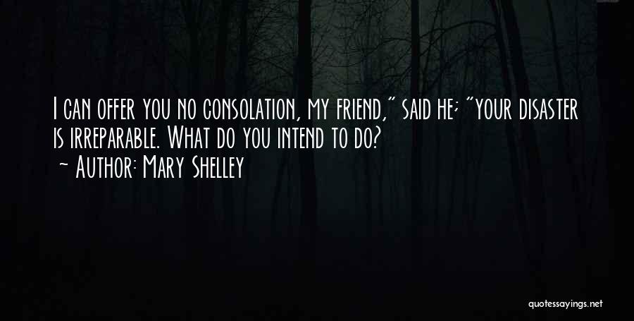 Mary Shelley Quotes: I Can Offer You No Consolation, My Friend, Said He; Your Disaster Is Irreparable. What Do You Intend To Do?